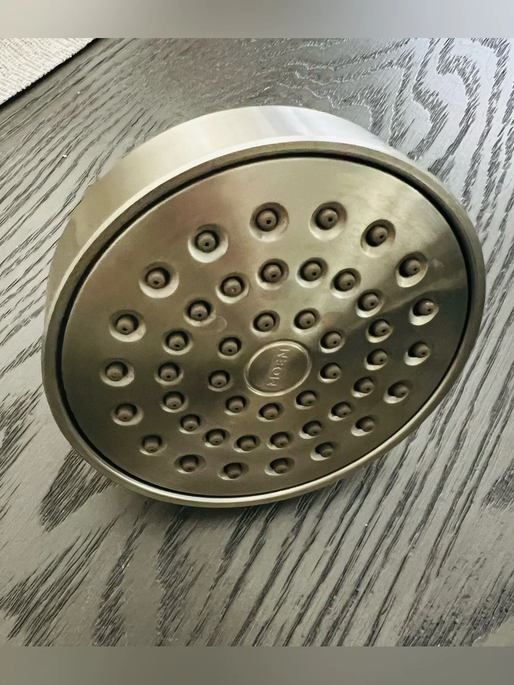Moen Brushed Nickel 6399BN Level One-Function Standard Shower Head